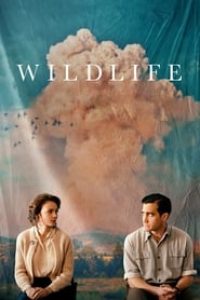 Download Wildlife (2018) {English With Subtitles} 480p [300MB] || 720p [850MB] || 1080p [2GB]