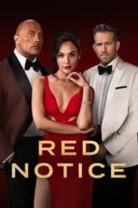 Download Red Notice (2021) Dual Audio {Hindi-English} WeB-DL 480p [390MB] || 720p [1GB] || 1080p [3.6GB]