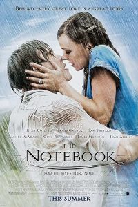 Download The Notebook (2004) Dual Audio [HINDI & ENGLISH] BluRay 480p [485MB] || 720p [1GB]