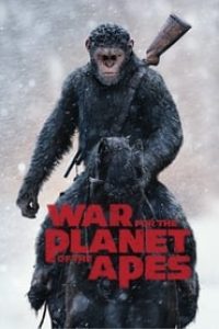 Download War for the Planet of the Apes (2017) Dual Audio {Hindi-English} 480p [400MB] || 720p [1.3GB] || 1080p [2GB]