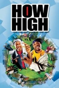 Download How High (2001) Dual Audio (Hindi-English) 480p [400MB] || 720p [1GB] || 1080p [1.87GB]