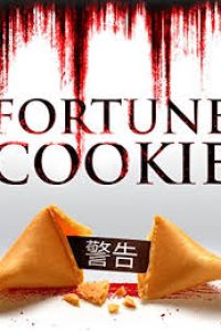 Download Fortune Cookie (2016) Dual Audio {Hindi-English} WEB-DL 480p [320MB] || 720p [1.1GB]