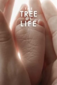 Download The Tree of Life (2011) {English With Subtitles} 480p [750MB] || 720p [1.7GB]